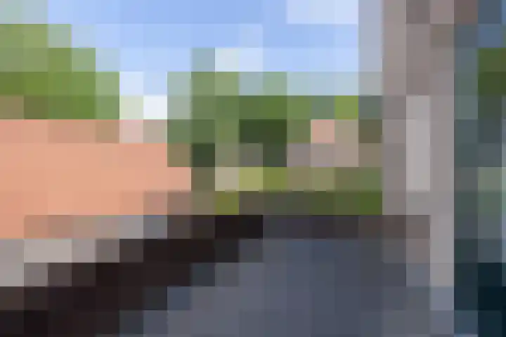 Lijsterbeslaan 81 Doetinchem thumbnail 29