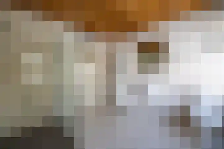 Lijsterbeslaan 81 Doetinchem thumbnail 42