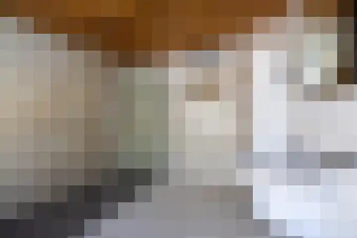 Lijsterbeslaan 81 Doetinchem thumbnail 43