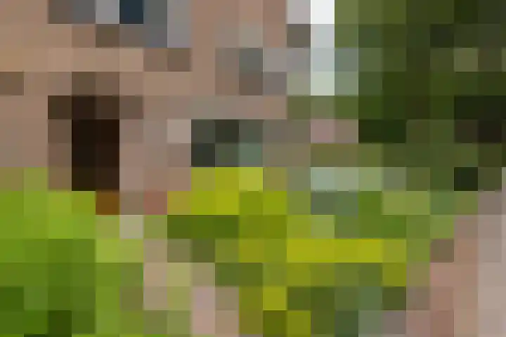 Lijsterbeslaan 81 Doetinchem thumbnail 60