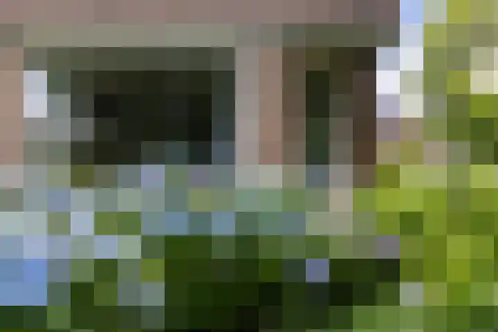 Lijsterbeslaan 81 Doetinchem thumbnail 63