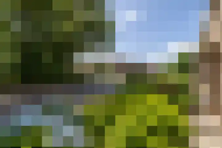 Lijsterbeslaan 81 Doetinchem thumbnail 64