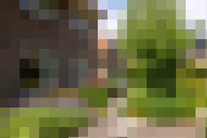 Lijsterbeslaan 81 Doetinchem thumbnail 65