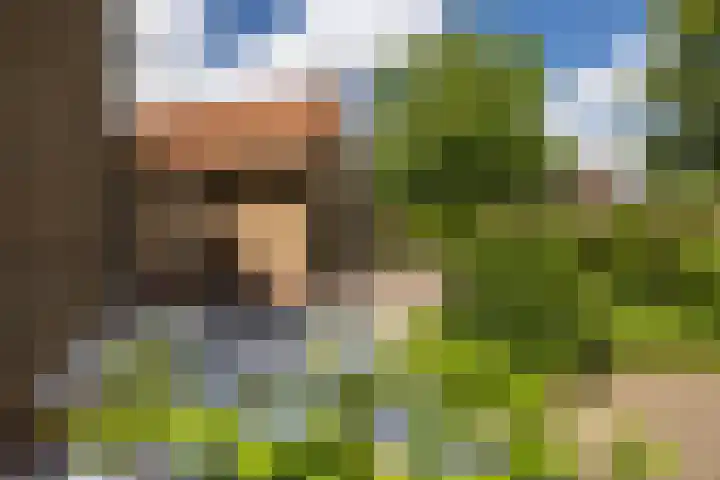 Lijsterbeslaan 81 Doetinchem thumbnail 66