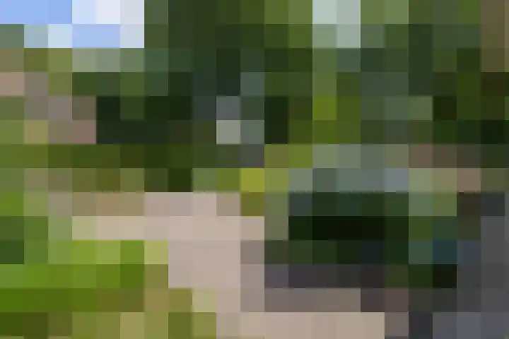 Lijsterbeslaan 81 Doetinchem thumbnail 67