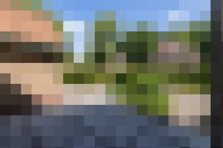 Lijsterbeslaan 81 Doetinchem thumbnail 68