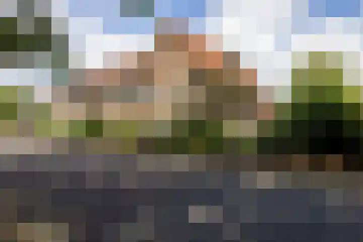 Lijsterbeslaan 81 Doetinchem thumbnail 74