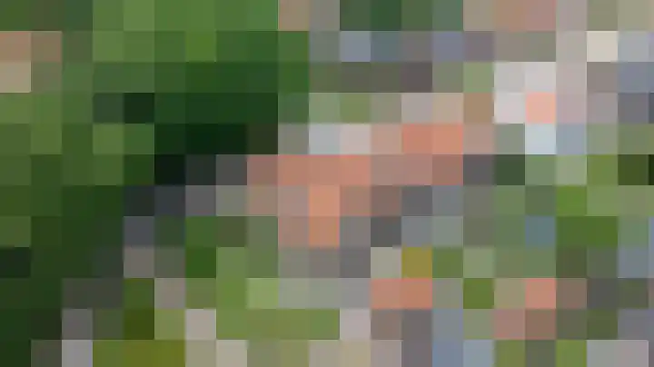 Lijsterbeslaan 81 Doetinchem thumbnail 78