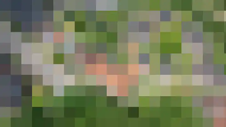 Lijsterbeslaan 81 Doetinchem thumbnail 80