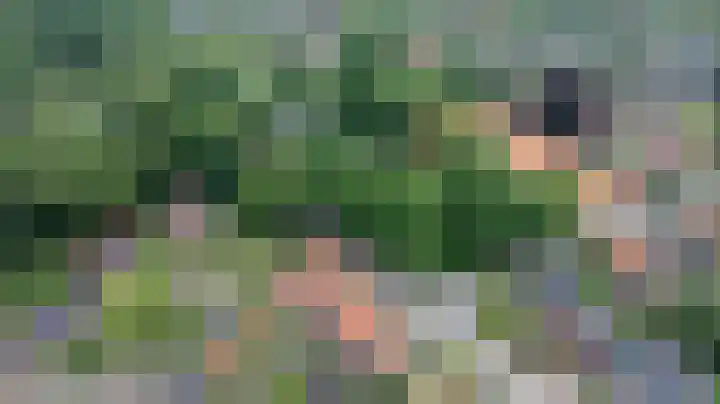 Lijsterbeslaan 81 Doetinchem thumbnail 81