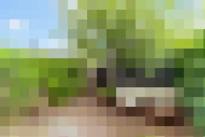 Lijsterbeslaan 84 Delft thumbnail 22