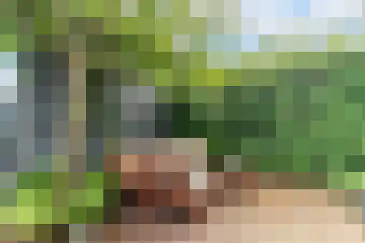 Lijsterbeslaan 84 Delft thumbnail 23