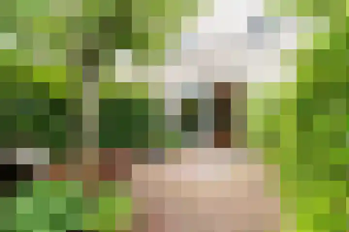 Lijsterbeslaan 84 Delft thumbnail 24