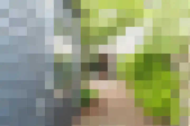Lijsterbeslaan 84 Delft thumbnail 25