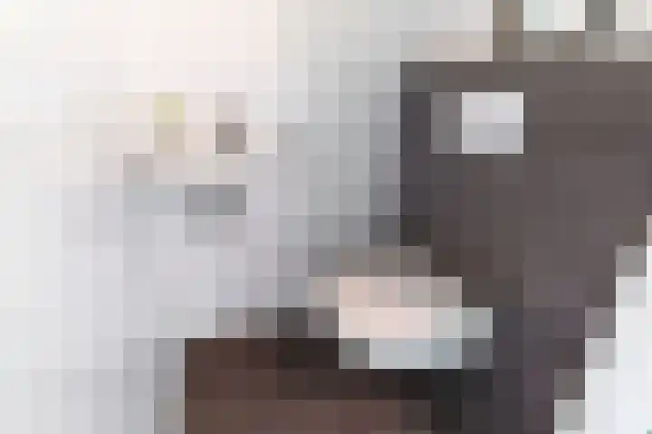 Lijsterbeslaan 84 Delft thumbnail 27