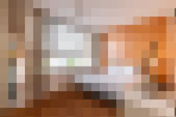 Lijsterbeslaan 84 Delft thumbnail 37