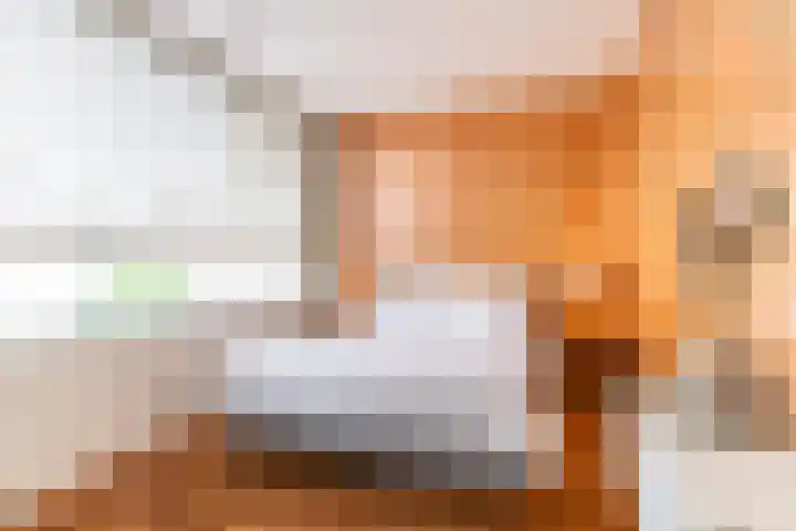 Lijsterbeslaan 84 Delft thumbnail 38