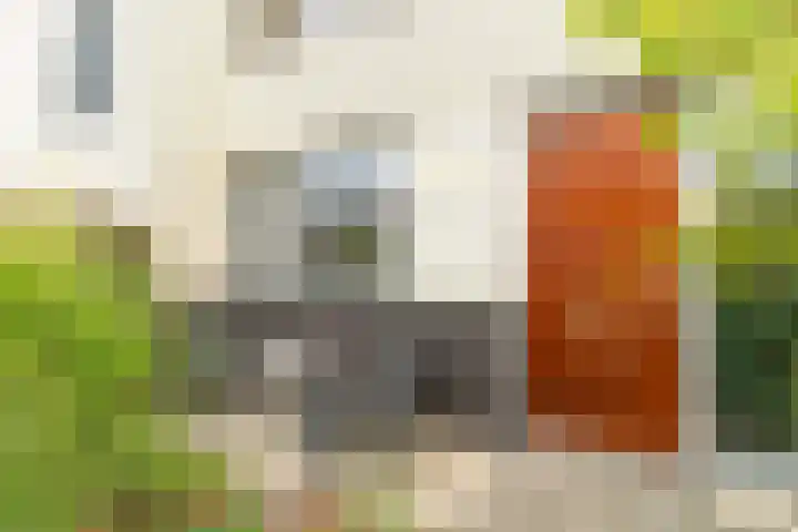 Lijsterbeslaan 84 Delft thumbnail 7