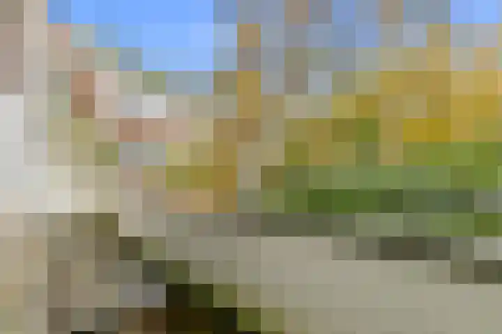 Lijsterbeslaan 84 Rijswijk thumbnail 24