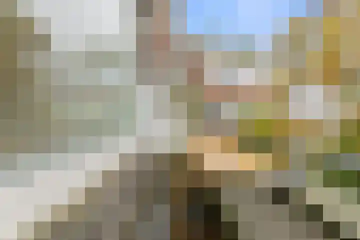 Lijsterbeslaan 84 Rijswijk thumbnail 25