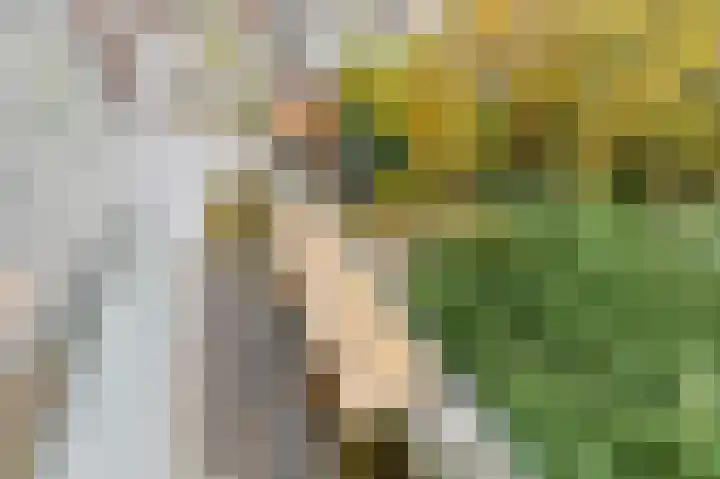 Lijsterbeslaan 84 Rijswijk thumbnail 26
