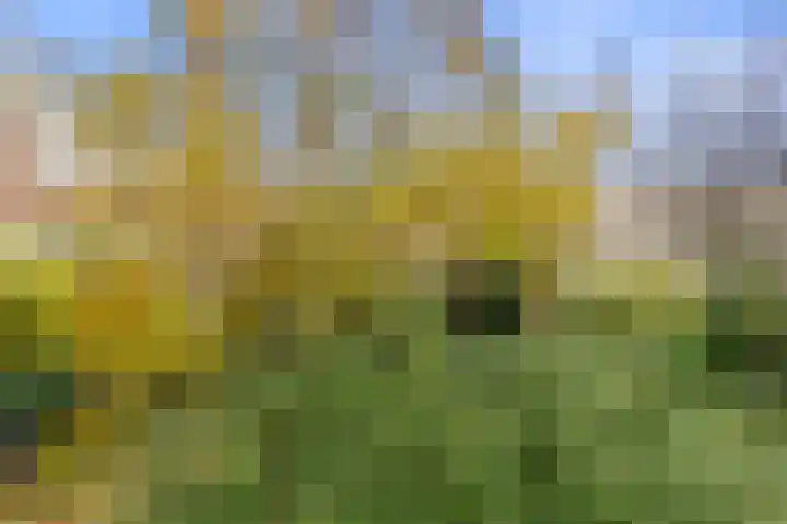 Lijsterbeslaan 84 Rijswijk thumbnail 27