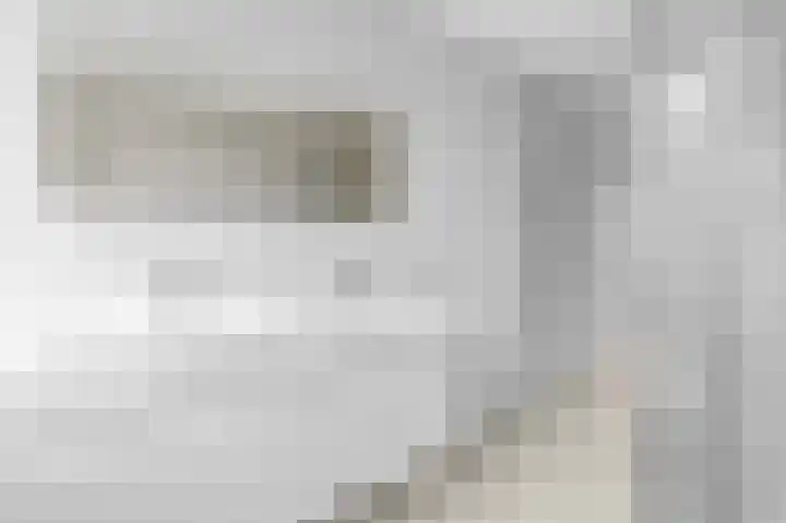 Lijsterbeslaan 84 Rijswijk thumbnail 34
