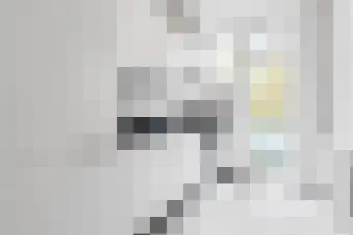 Lijsterbeslaan 84 Rijswijk thumbnail 4