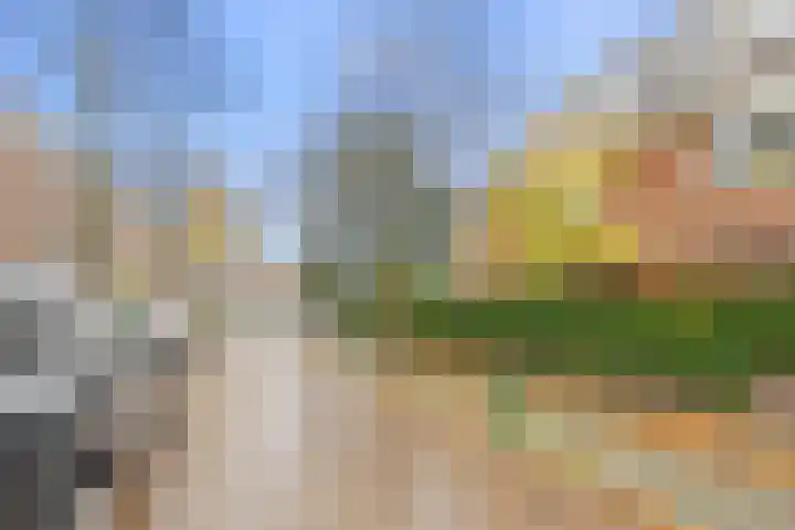 Lijsterbeslaan 84 Rijswijk thumbnail 46
