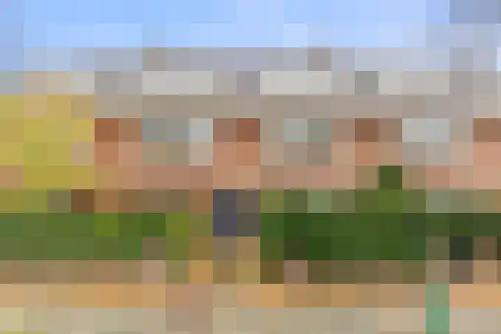 Lijsterbeslaan 84 Rijswijk thumbnail 47