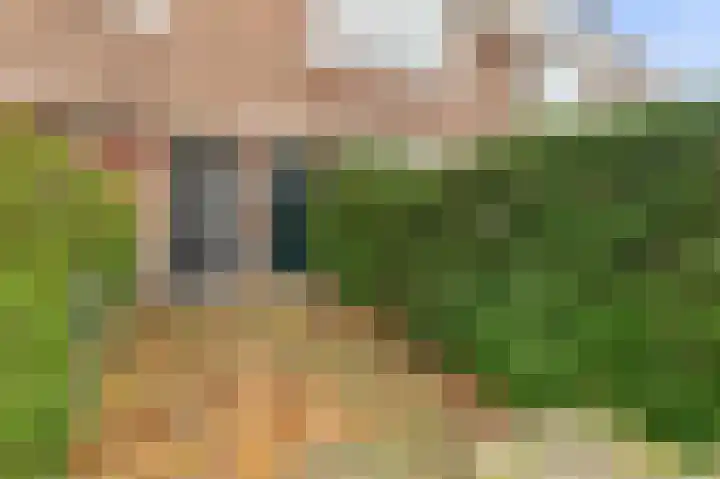 Lijsterbeslaan 84 Rijswijk thumbnail 48