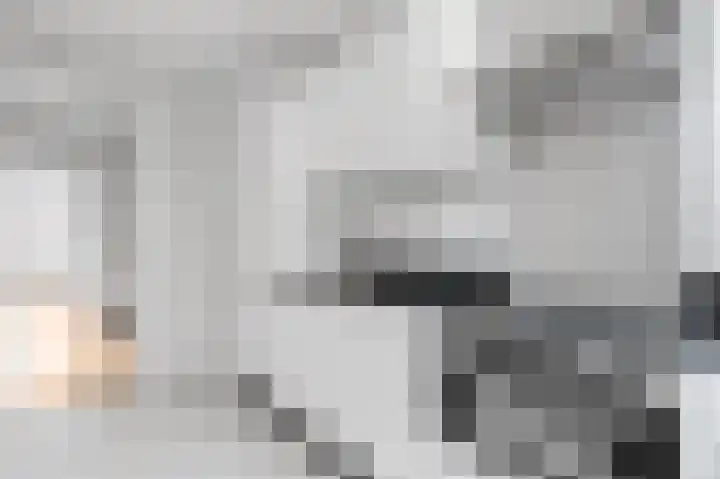 Lijsterbeslaan 84 Rijswijk thumbnail 6