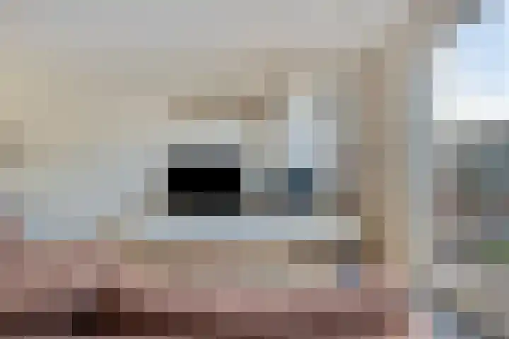 Lijsterbeslaan 88 Delft thumbnail 12
