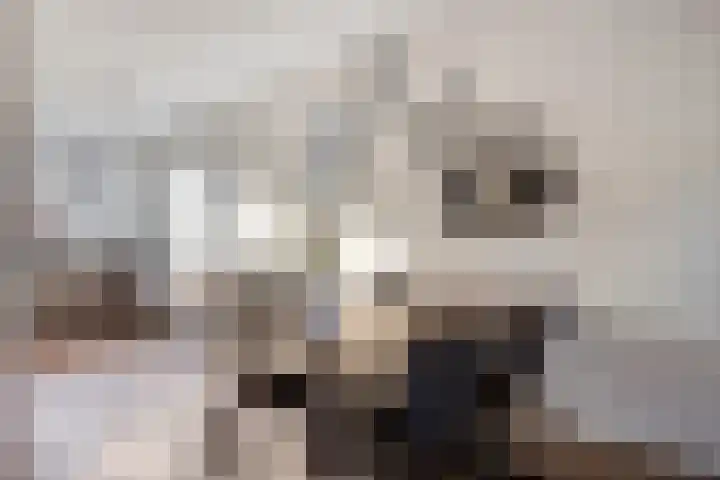 Lijsterbeslaan 88 Delft thumbnail 14