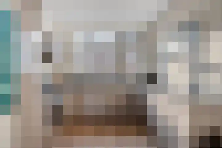 Lijsterbeslaan 88 Delft thumbnail 16