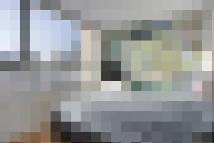 Lijsterbeslaan 88 Delft thumbnail 21