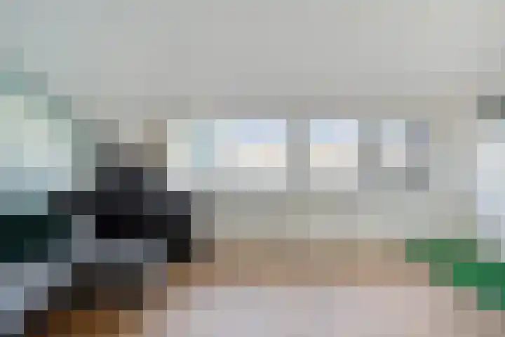 Lijsterbeslaan 88 Delft thumbnail 32