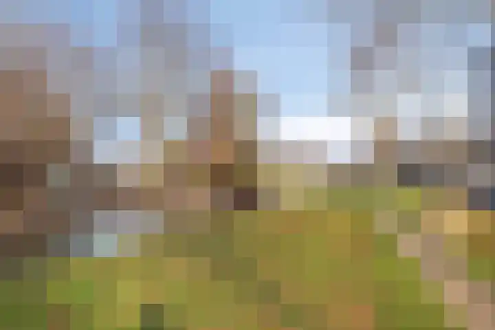 Lijsterbeslaan 88 Delft thumbnail 39