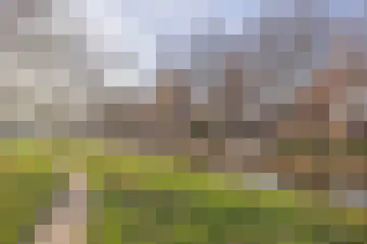 Lijsterbeslaan 88 Delft thumbnail 40
