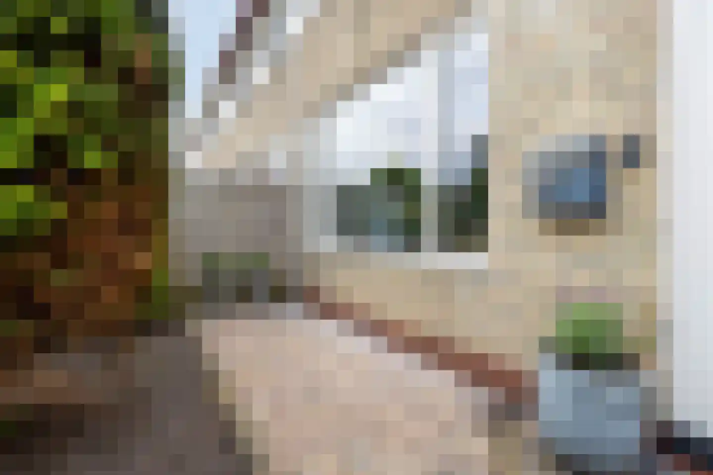 Lijsterbeslaan 9 Winschoten thumbnail 11
