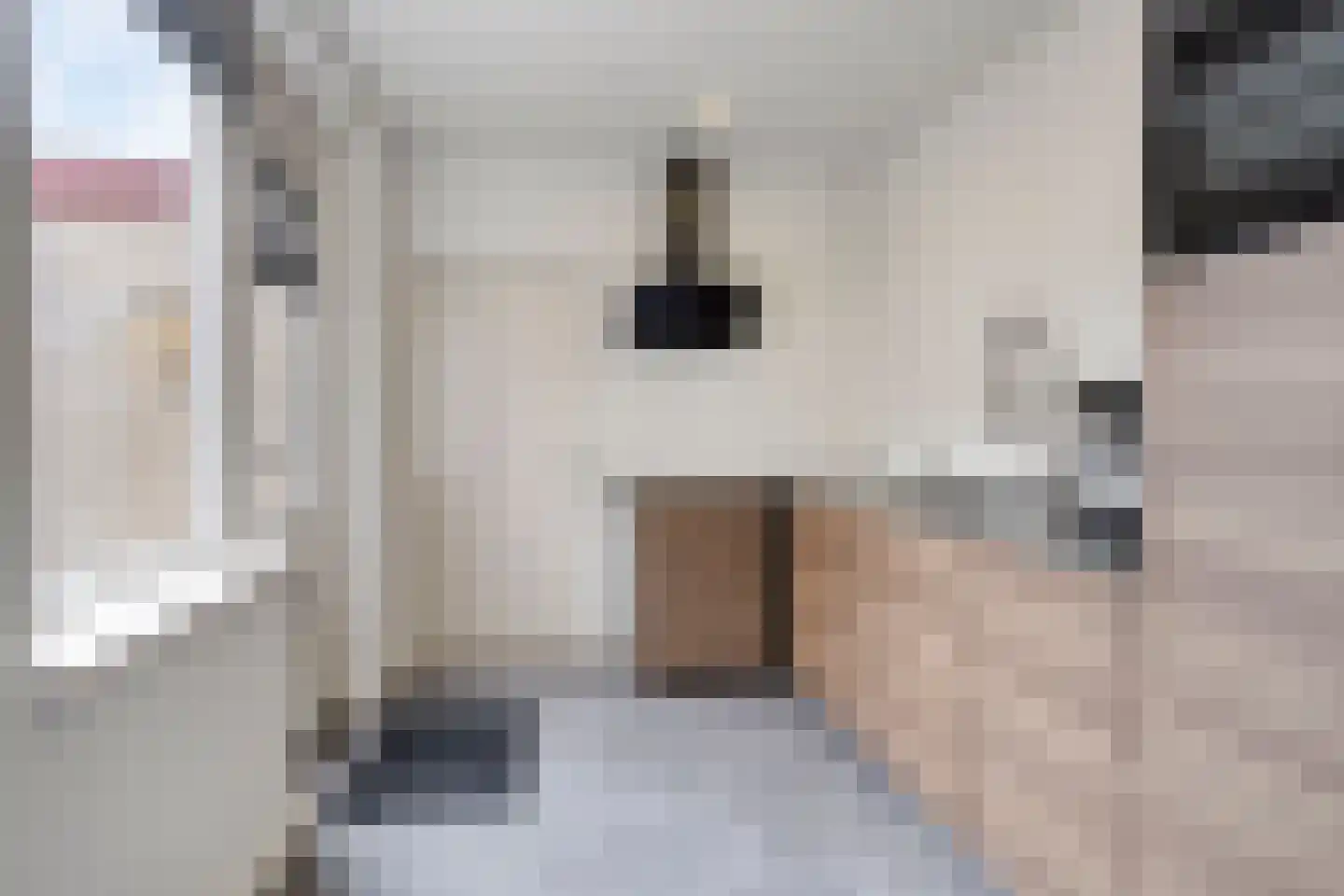 Lijsterbeslaan 9 Winschoten thumbnail 31