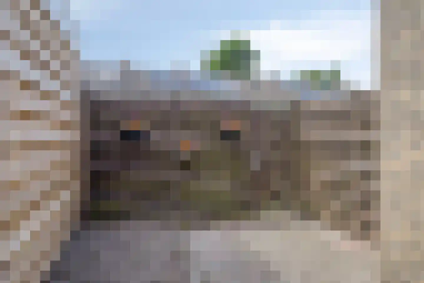 Lijsterbeslaan 9 Winschoten thumbnail 58
