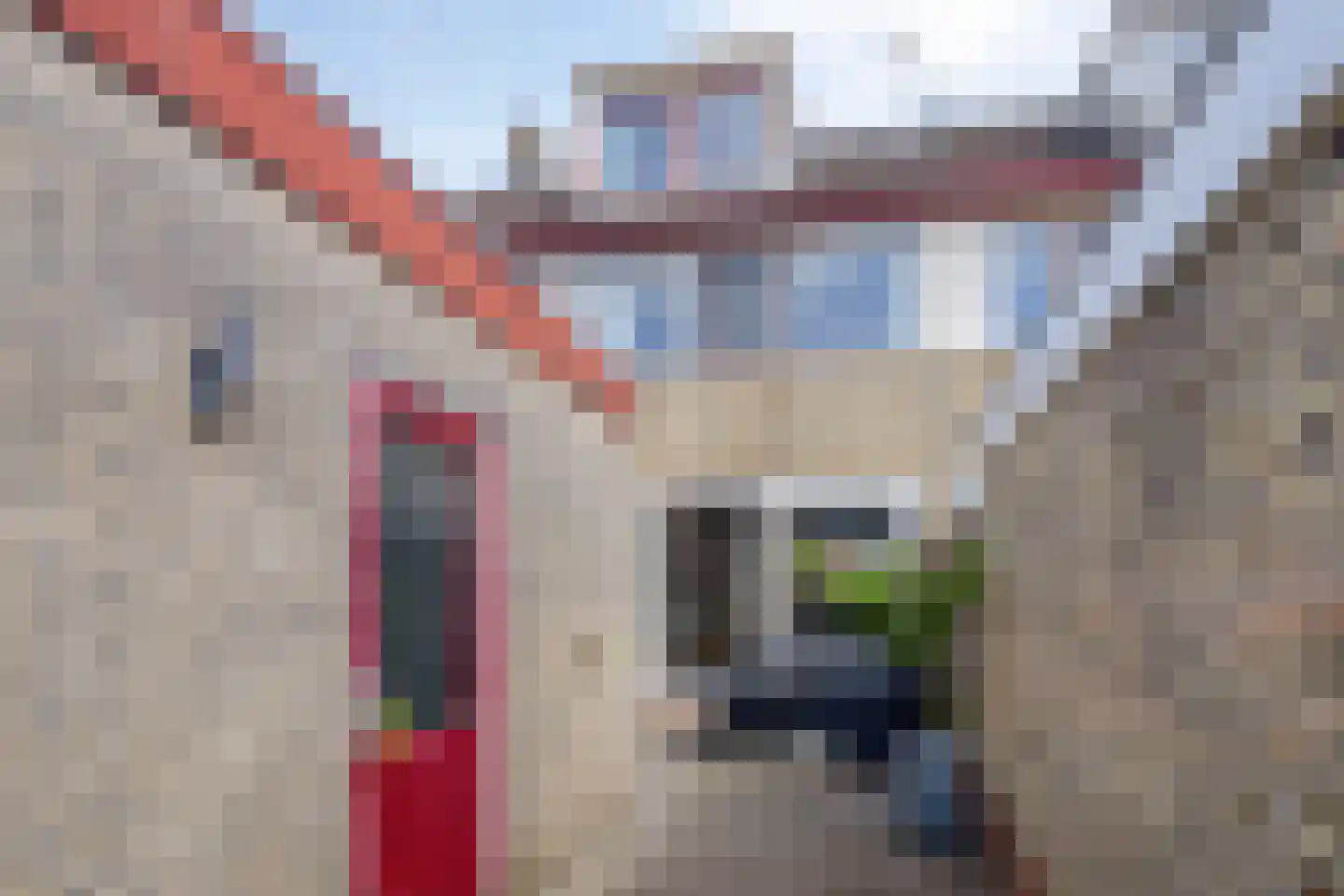 Lijsterbeslaan 9 Winschoten thumbnail 60