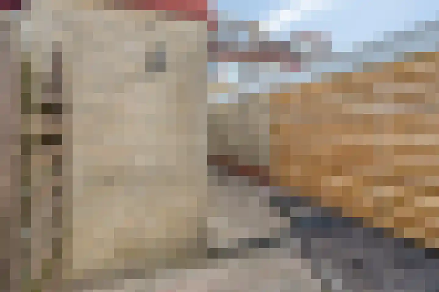 Lijsterbeslaan 9 Winschoten thumbnail 62