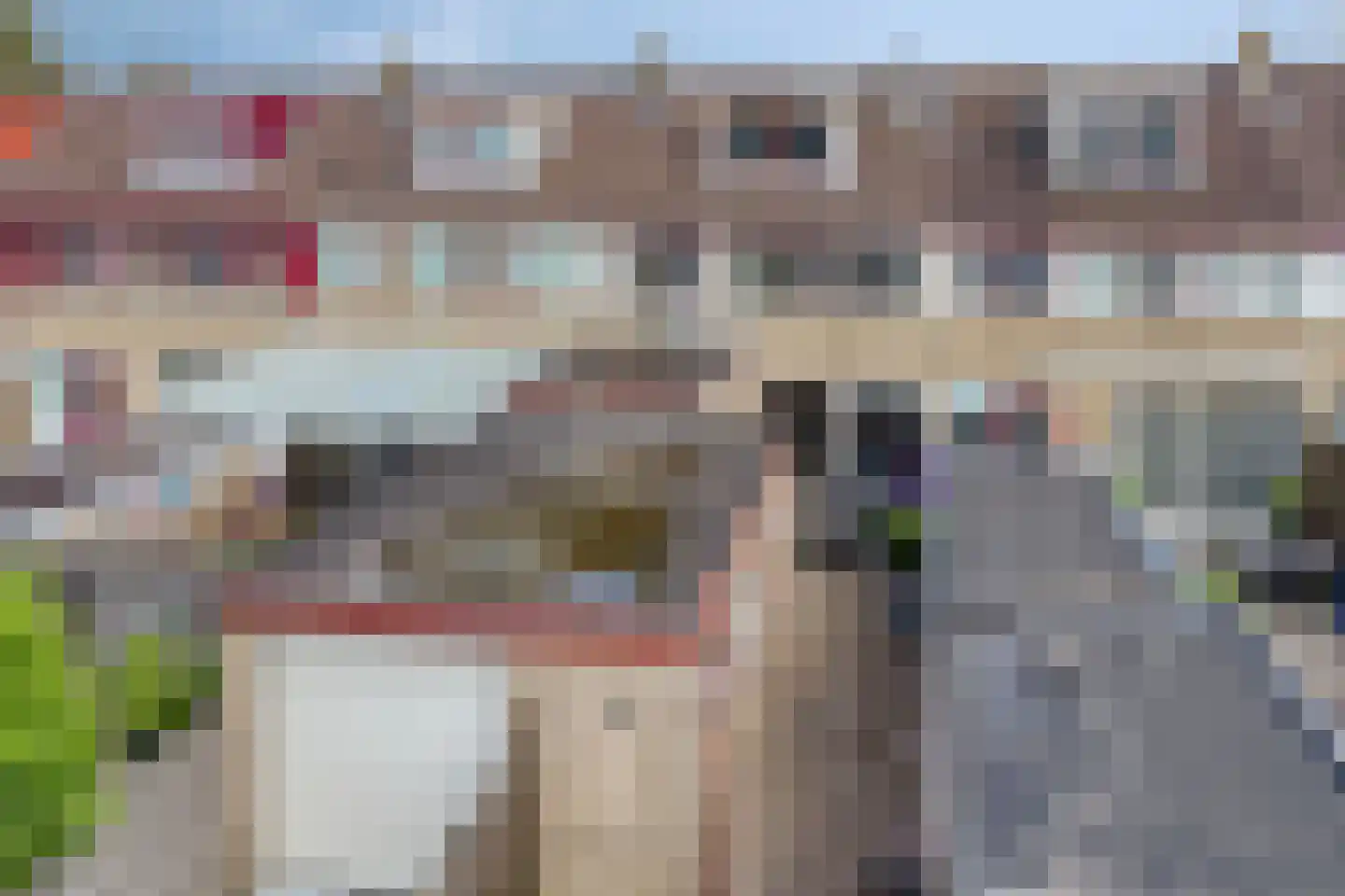 Lijsterbeslaan 9 Winschoten thumbnail 65