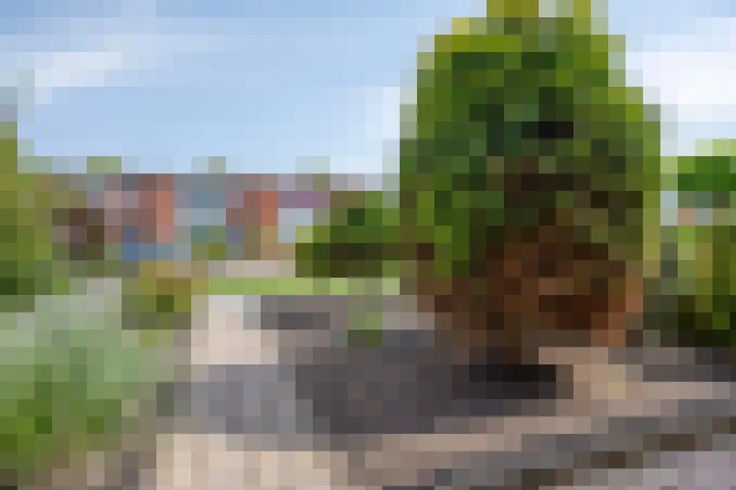 Lijsterbeslaan 9 Winschoten thumbnail 67