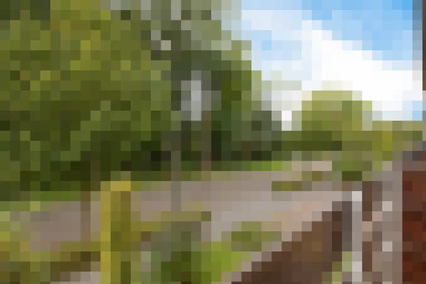 Lijsterbeslaan 90 Valkenswaard thumbnail 27