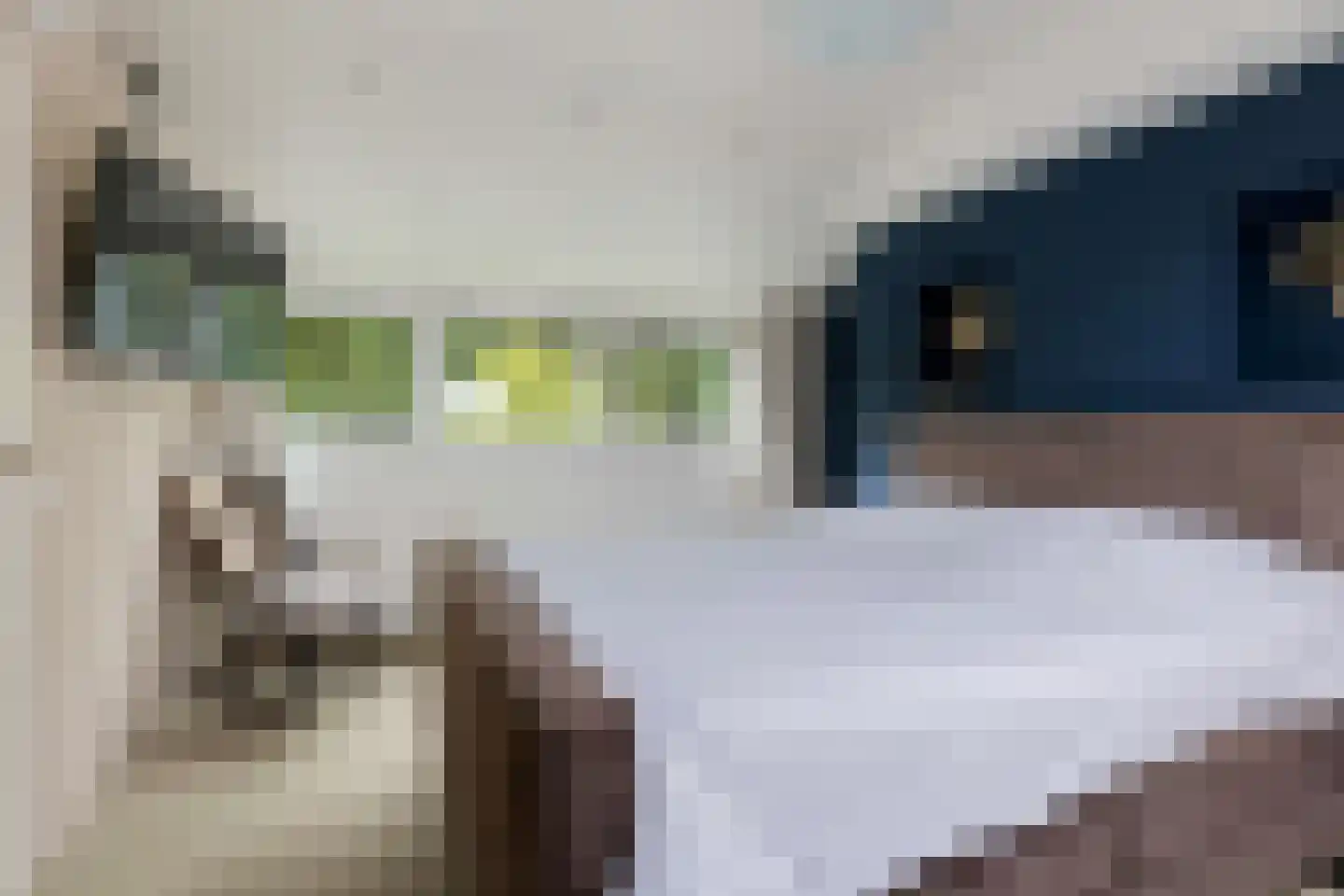 Lijsterbeslaan 90 Valkenswaard thumbnail 36