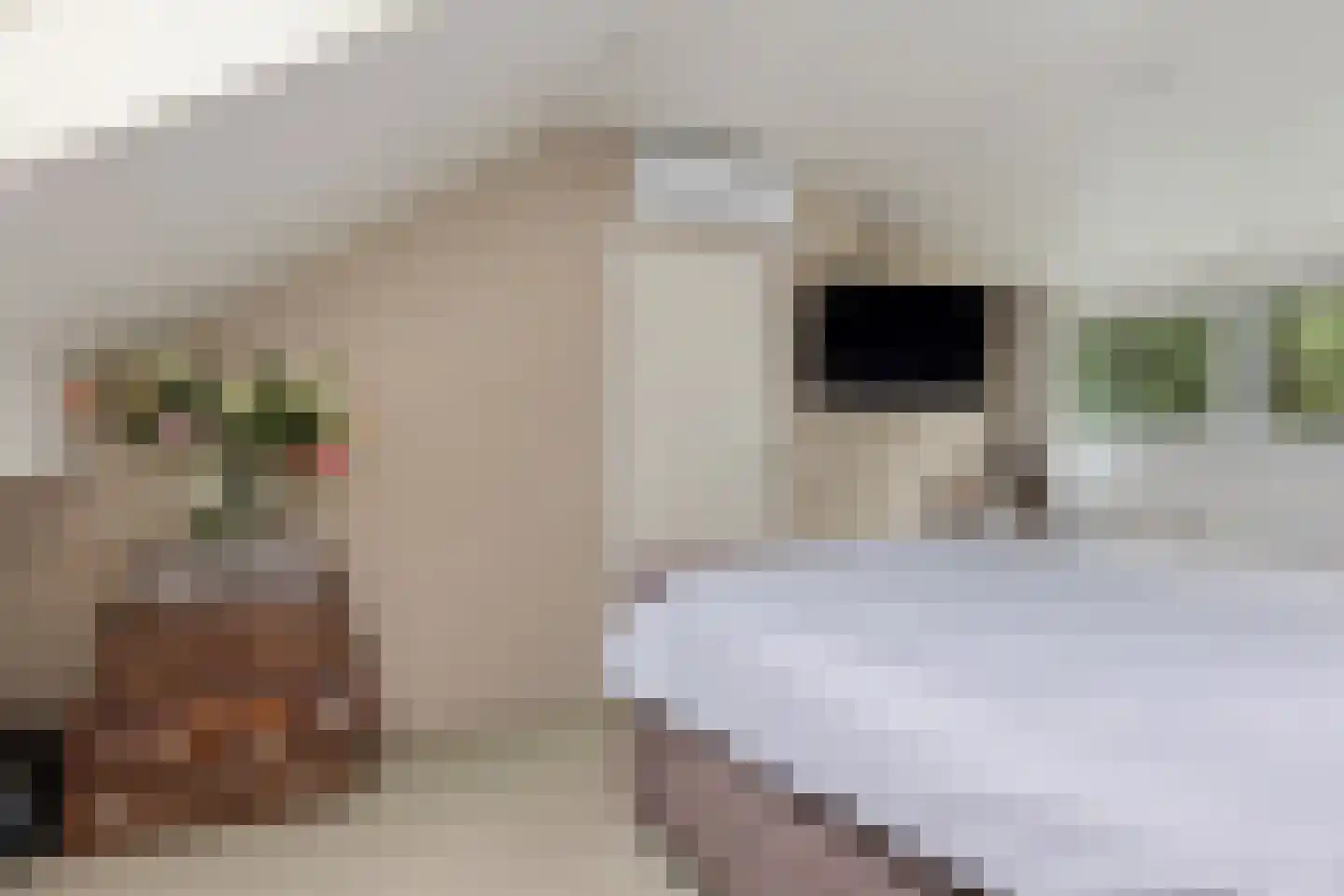 Lijsterbeslaan 90 Valkenswaard thumbnail 37