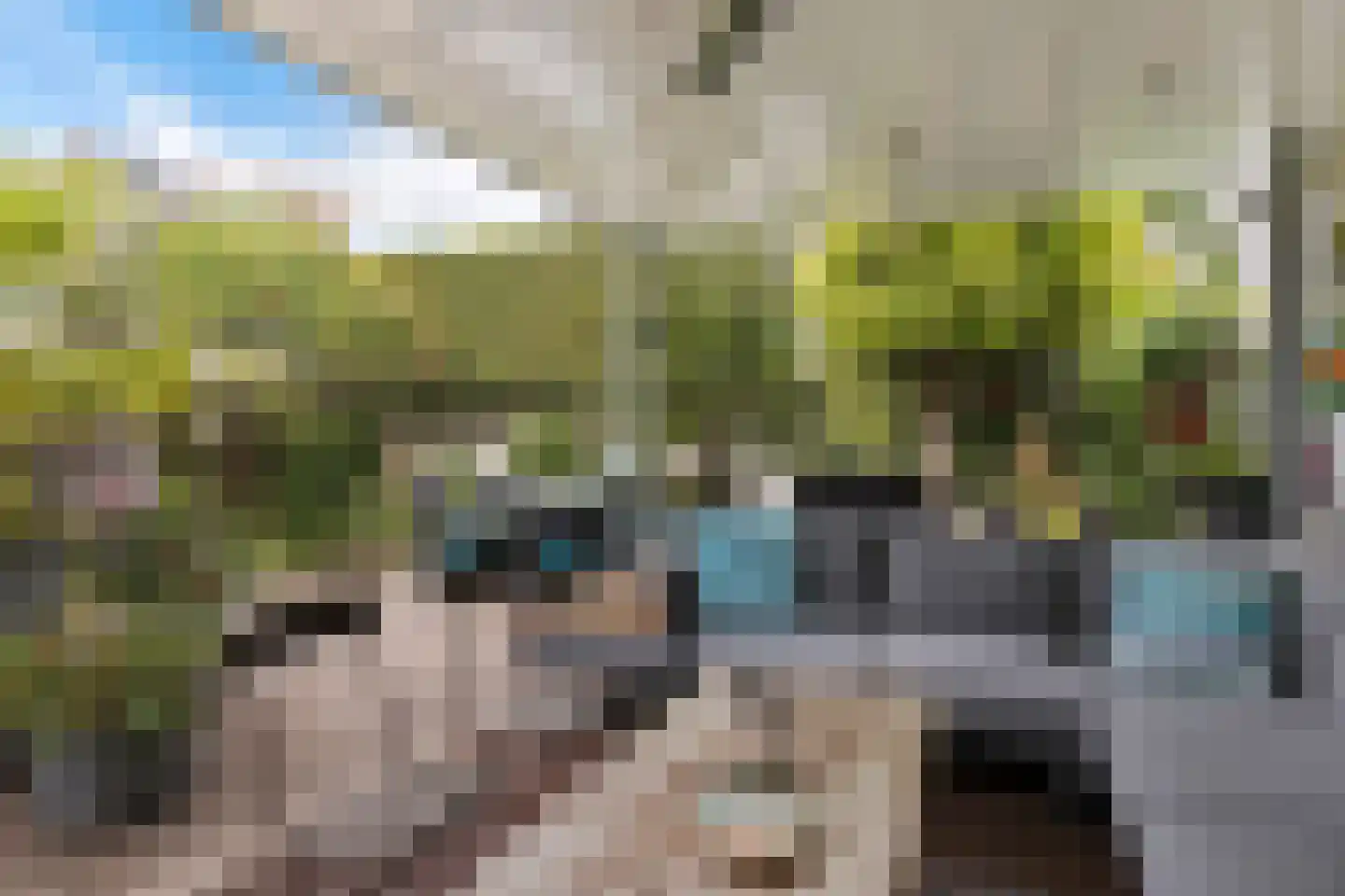 Lijsterbeslaan 90 Valkenswaard thumbnail 38